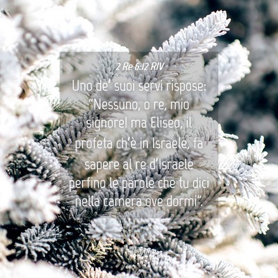Picture 04 - 2 Re 6:12 RIV - Uno de’ suoi servi rispose: “Nessuno, o re, - Bible Verse Picture