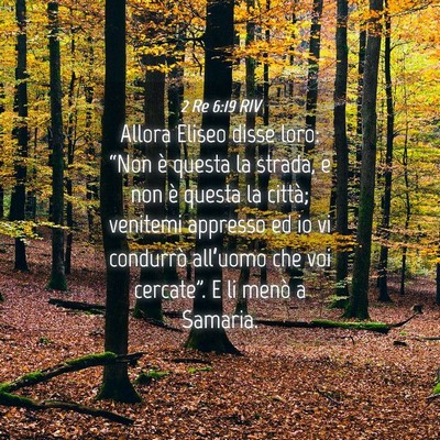 Picture 04 - 2 Re 6:19 RIV - Allora Eliseo disse loro: “Non è questa la - Bible Verse Picture