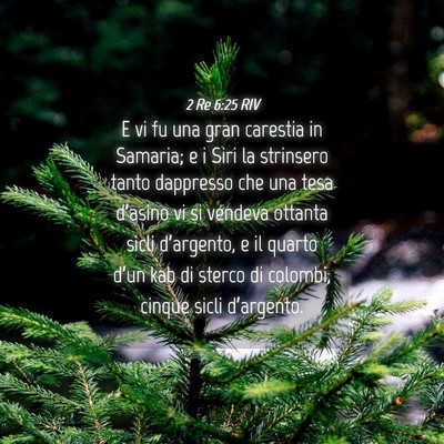 Picture 04 - 2 Re 6:25 RIV - E vi fu una gran carestia in Samaria; e i Siri la - Bible Verse Picture