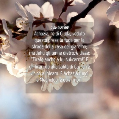 Picture 04 - 2 Re 9:27 RIV - Achazia, re di Giuda, veduto questo prese la fuga - Bible Verse Picture