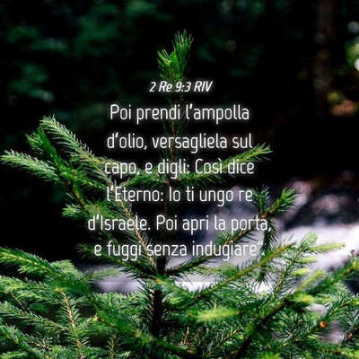 Picture 04 - 2 Re 9:3 RIV - Poi prendi l’ampolla d’olio, versagliela sul - Bible Verse Picture