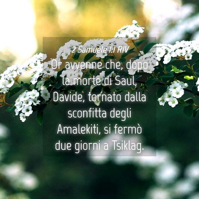 Picture 04 - 2 Samuele 1:1 RIV - Or avvenne che, dopo la morte di Saul, Davide, - Bible Verse Picture