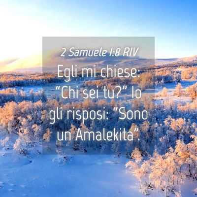 Picture 04 - 2 Samuele 1:8 RIV - Egli mi chiese: “Chi sei tu?” Io gli risposi: - Bible Verse Picture