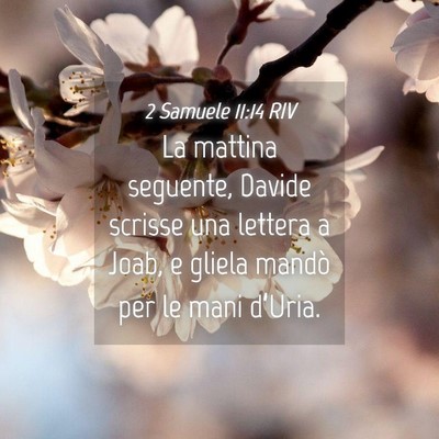 Picture 04 - 2 Samuele 11:14 RIV - La mattina seguente, Davide scrisse una lettera a - Bible Verse Picture