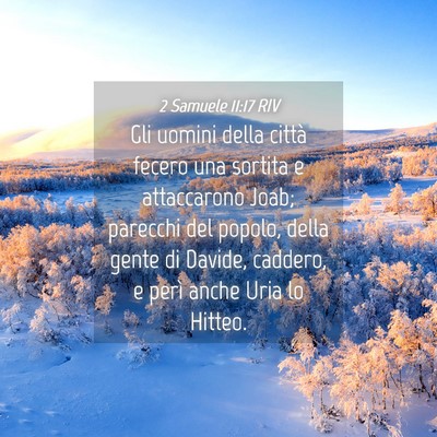 Picture 04 - 2 Samuele 11:17 RIV - Gli uomini della città fecero una sortita e - Bible Verse Picture
