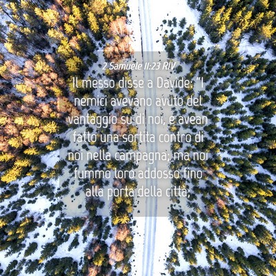 Picture 04 - 2 Samuele 11:23 RIV - Il messo disse a Davide: “I nemici avevano - Bible Verse Picture