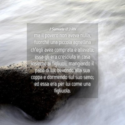 Picture 04 - 2 Samuele 12:3 RIV - ma il povero non aveva nulla, fuorché una - Bible Verse Picture