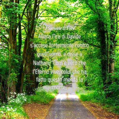 Picture 04 - 2 Samuele 12:5 RIV - Allora l’ira di Davide s’accese fortemente - Bible Verse Picture