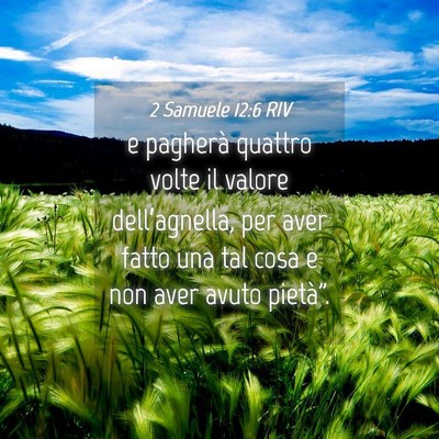 Picture 04 - 2 Samuele 12:6 RIV - e pagherà quattro volte il valore - Bible Verse Picture