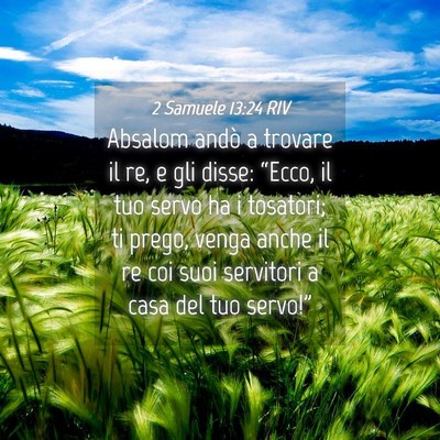 Picture 04 - 2 Samuele 13:24 RIV - Absalom andò a trovare il re, e gli disse: - Bible Verse Picture