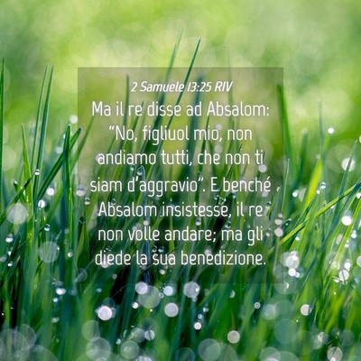 Picture 04 - 2 Samuele 13:25 RIV - Ma il re disse ad Absalom: “No, figliuol mio, - Bible Verse Picture