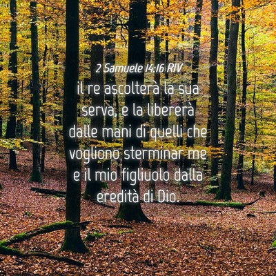 Picture 04 - 2 Samuele 14:16 RIV - il re ascolterà la sua serva, e la libererà - Bible Verse Picture