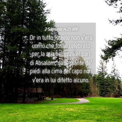 Picture 04 - 2 Samuele 14:25 RIV - Or in tutto Israele non v’era uomo che fosse - Bible Verse Picture