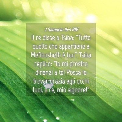 Picture 04 - 2 Samuele 16:4 RIV - Il re disse a Tsiba: “Tutto quello che - Bible Verse Picture