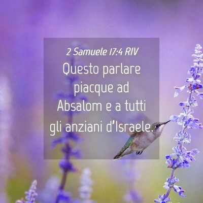 Picture 04 - 2 Samuele 17:4 RIV - Questo parlare piacque ad Absalom e a tutti gli - Bible Verse Picture