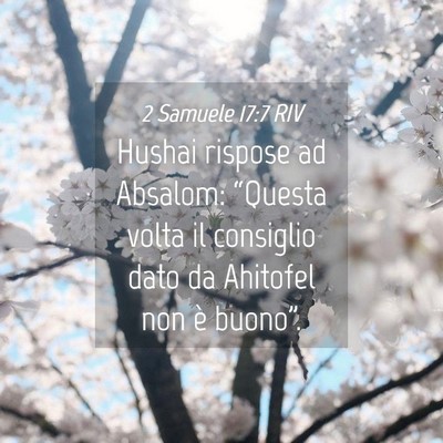 Picture 04 - 2 Samuele 17:7 RIV - Hushai rispose ad Absalom: “Questa volta il - Bible Verse Picture
