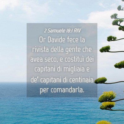 Picture 04 - 2 Samuele 18:1 RIV - Or Davide fece la rivista della gente che avea - Bible Verse Picture