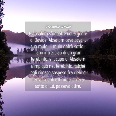 Picture 04 - 2 Samuele 18:9 RIV - E Absalom s’imbatté nella gente di Davide. - Bible Verse Picture