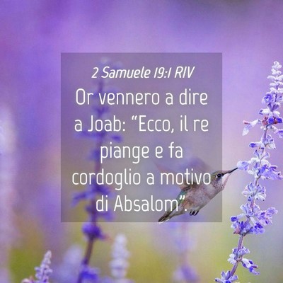 Picture 04 - 2 Samuele 19:1 RIV - Or vennero a dire a Joab: “Ecco, il re piange e - Bible Verse Picture