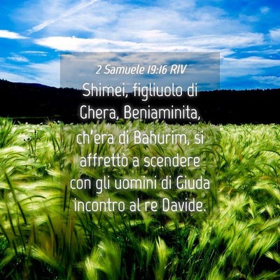 Picture 04 - 2 Samuele 19:16 RIV - Shimei, figliuolo di Ghera, Beniaminita, ch’era - Bible Verse Picture