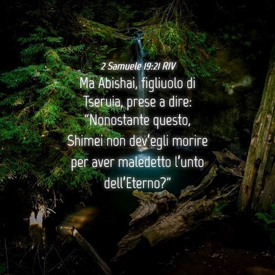 Picture 04 - 2 Samuele 19:21 RIV - Ma Abishai, figliuolo di Tseruia, prese a dire: - Bible Verse Picture
