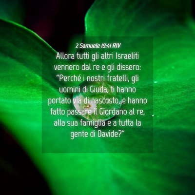 Picture 04 - 2 Samuele 19:41 RIV - Allora tutti gli altri Israeliti vennero dal re e - Bible Verse Picture