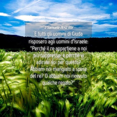 Picture 04 - 2 Samuele 19:42 RIV - E tutti gli uomini di Giuda risposero agli uomini - Bible Verse Picture