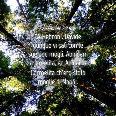 Picture 04 - 2 Samuele 2:2 RIV - “A Hebron”. Davide dunque vi salì con le sue - Bible Verse Picture