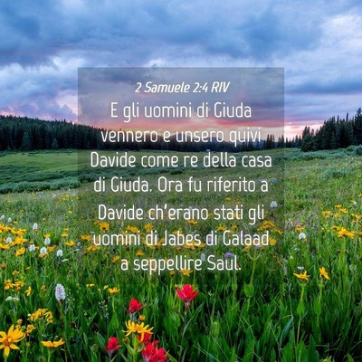 Picture 04 - 2 Samuele 2:4 RIV - E gli uomini di Giuda vennero e unsero quivi - Bible Verse Picture