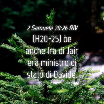 Picture 04 - 2 Samuele 20:26 RIV - (H20-25) òe anche Ira di Jair era ministro di - Bible Verse Picture