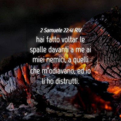 Picture 04 - 2 Samuele 22:41 RIV - hai fatto voltar le spalle davanti a me ai miei - Bible Verse Picture