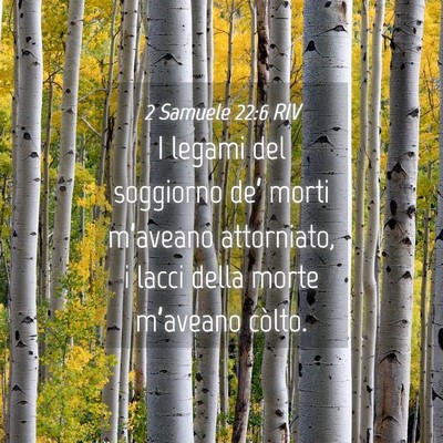 Picture 04 - 2 Samuele 22:6 RIV - I legami del soggiorno de’ morti m’aveano - Bible Verse Picture