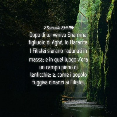 Picture 04 - 2 Samuele 23:11 RIV - Dopo di lui veniva Shamma, figliuolo di Aghé, lo - Bible Verse Picture