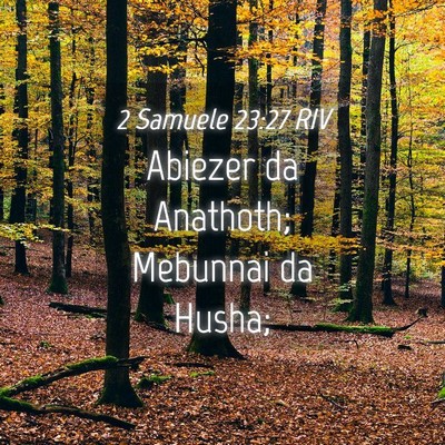 Picture 04 - 2 Samuele 23:27 RIV - Abiezer da Anathoth; Mebunnai da - Bible Verse Picture