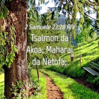 Picture 04 - 2 Samuele 23:28 RIV - Tsalmon da Akoa; Maharai da - Bible Verse Picture