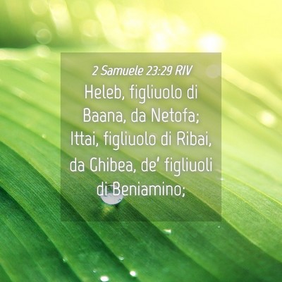 Picture 04 - 2 Samuele 23:29 RIV - Heleb, figliuolo di Baana, da Netofa; Ittai, - Bible Verse Picture