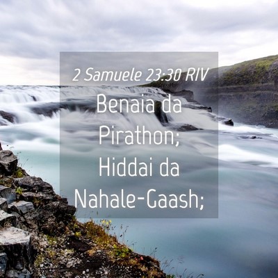 Picture 04 - 2 Samuele 23:30 RIV - Benaia da Pirathon; Hiddai da - Bible Verse Picture