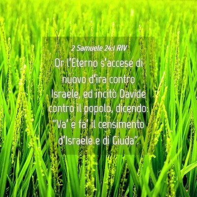 Picture 04 - 2 Samuele 24:1 RIV - Or l’Eterno s’accese di nuovo d’ira contro - Bible Verse Picture