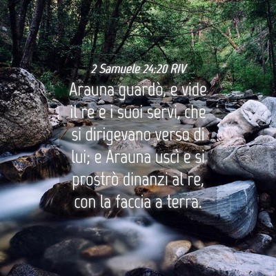 Picture 04 - 2 Samuele 24:20 RIV - Arauna guardò, e vide il re e i suoi servi, che - Bible Verse Picture