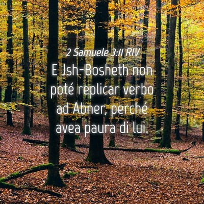Picture 04 - 2 Samuele 3:11 RIV - E Jsh-Bosheth non poté replicar verbo ad Abner, - Bible Verse Picture