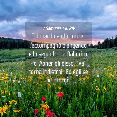 Picture 04 - 2 Samuele 3:16 RIV - E il marito andò con lei, l’accompagnò - Bible Verse Picture