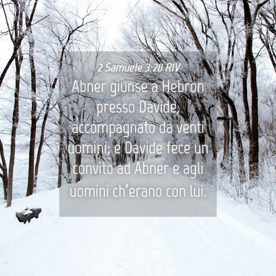 Picture 04 - 2 Samuele 3:20 RIV - Abner giunse a Hebron presso Davide, accompagnato - Bible Verse Picture