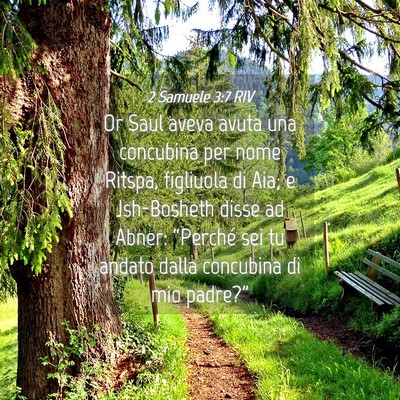 Picture 04 - 2 Samuele 3:7 RIV - Or Saul aveva avuta una concubina per nome - Bible Verse Picture