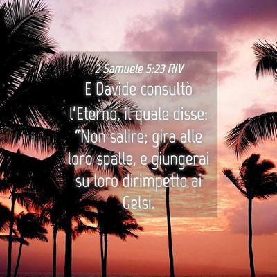 Picture 04 - 2 Samuele 5:23 RIV - E Davide consultò l’Eterno, il quale disse: - Bible Verse Picture