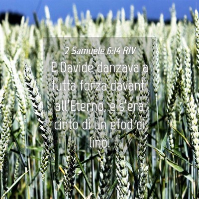 Picture 04 - 2 Samuele 6:14 RIV - E Davide danzava a tutta forza davanti - Bible Verse Picture