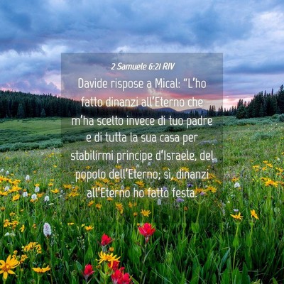 Picture 04 - 2 Samuele 6:21 RIV - Davide rispose a Mical: “L’ho fatto dinanzi - Bible Verse Picture