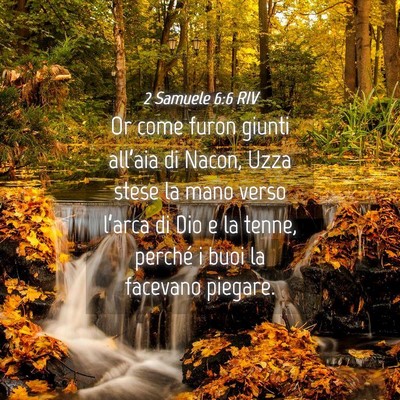 Picture 04 - 2 Samuele 6:6 RIV - Or come furon giunti all’aia di Nacon, Uzza - Bible Verse Picture