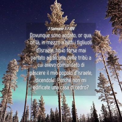 Picture 04 - 2 Samuele 7:7 RIV - Dovunque sono andato, or qua, or là, in mezzo a - Bible Verse Picture