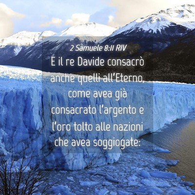 Picture 04 - 2 Samuele 8:11 RIV - E il re Davide consacrò anche quelli - Bible Verse Picture