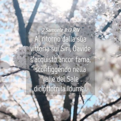 Picture 04 - 2 Samuele 8:13 RIV - Al ritorno dalla sua vittoria sui Siri, Davide - Bible Verse Picture